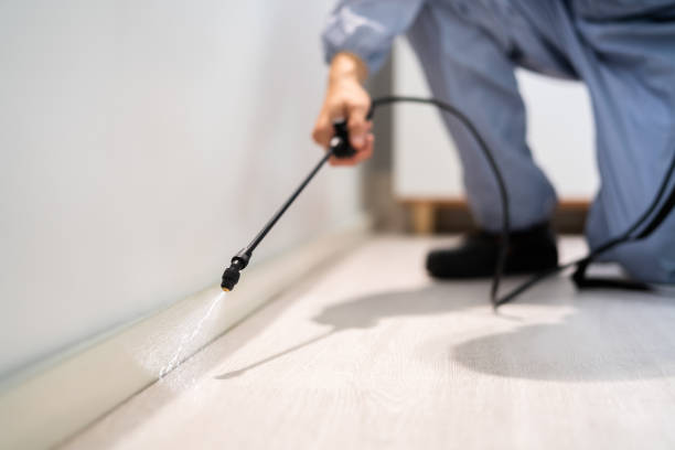 Licensed Termite Control service in Rib Mountain, WI - Nex Pest Control