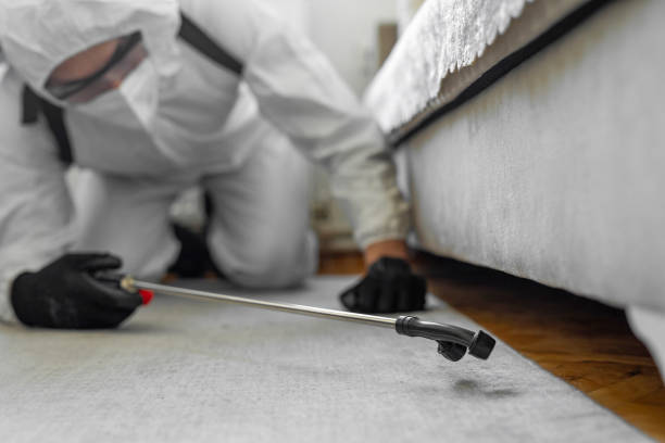 Professional Termite Control technician working in Rib Mountain, WI