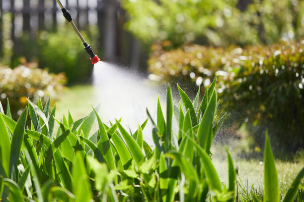 24/7 Emergency Termite Control experts in Rib Mountain, WI