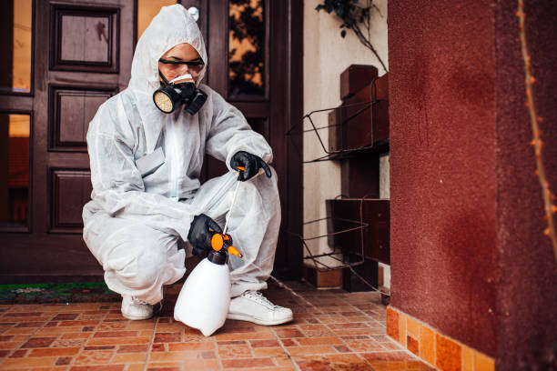 Reliable Termite Control contractor in Rib Mountain, WI by Nex Pest Control