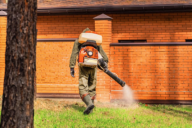 Top rated local Termite Control specialists in Rib Mountain, WI